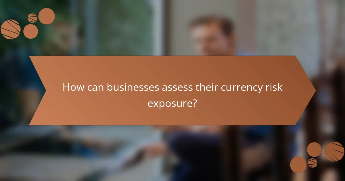 How can businesses assess their currency risk exposure?