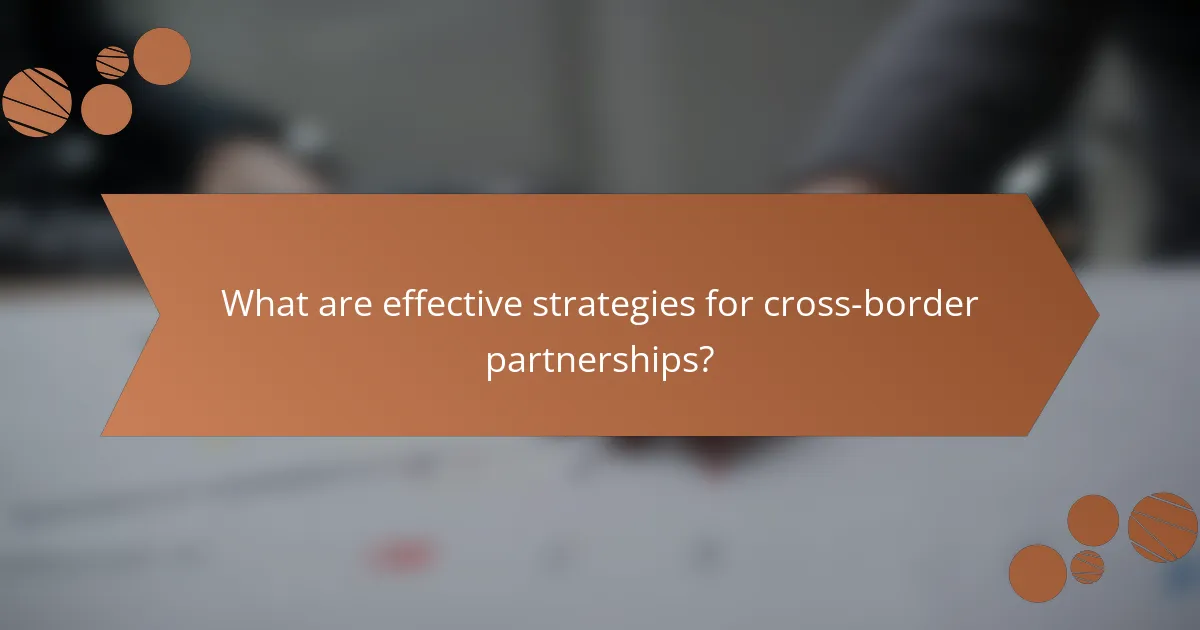 What are effective strategies for cross-border partnerships?