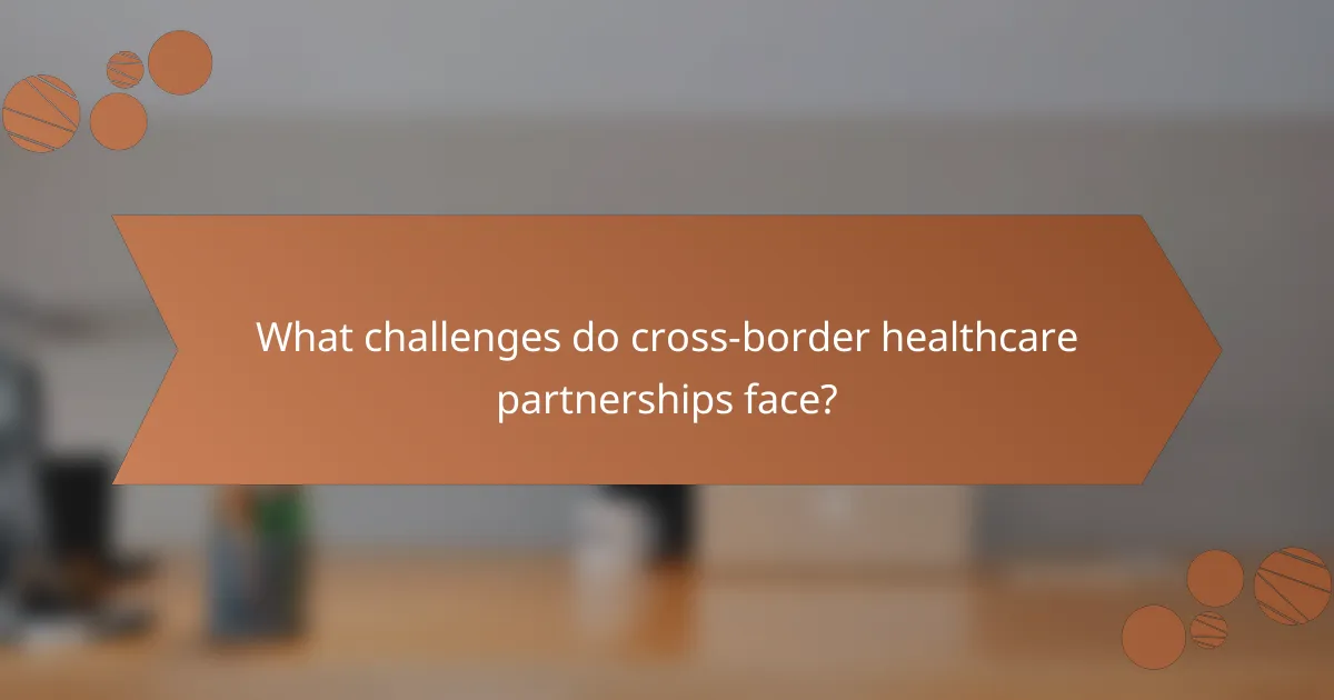 What challenges do cross-border healthcare partnerships face?