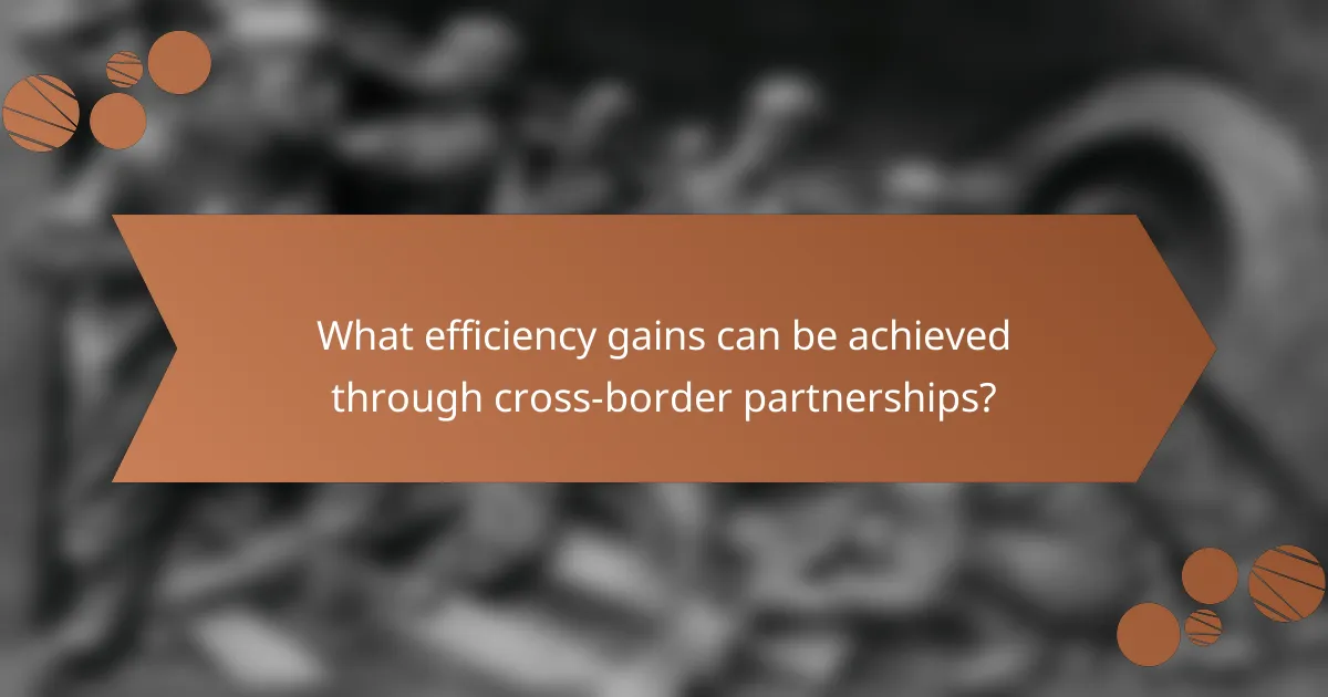 What efficiency gains can be achieved through cross-border partnerships?
