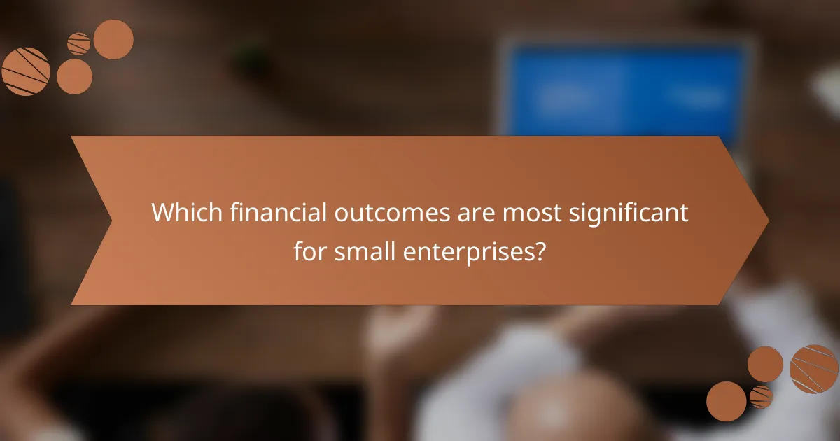 Which financial outcomes are most significant for small enterprises?